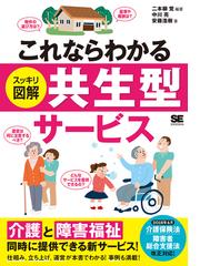 子ども虐待としてのＤＶ 母親と子どもへの心理臨床的援助のためにの