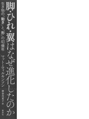 脚 ひれ 翼はなぜ進化したのか 生き物の 動き と 形 の４０億年の通販 マット ウィルキンソン 神奈川 夏子 紙の本 Honto本の通販ストア