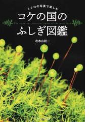 植物保護の事典 普及版の通販/本間 保男/佐藤 仁彦 - 紙の本：honto本