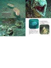 東京湾 生物の不思議 最前線 江戸前の海 が サンゴ礁の海 になる 潜り続けて６０年 伝説のダイバーからのメッセージの通販 尾崎 幸司 紙の本 Honto本の通販ストア