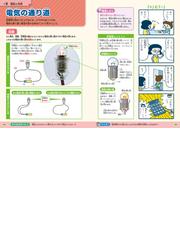 オールカラー楽しくわかる！電気とエネルギー 理科がどんどん好きに