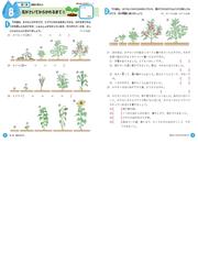 理科にぐーんと強くなる 小学３年生の通販 紙の本 Honto本の通販ストア