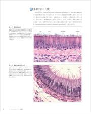 バーチャルスライド組織学の通販/駒崎 伸二 - 紙の本：honto本の通販ストア