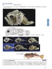 海のミクロ生物図鑑 チリメンモンスターの中に広がる世界 魚類 貝 タコ イカ エビ カニ その他の甲殻類の通販 西田 百代 井田 齊 紙の本 Honto本の通販ストア