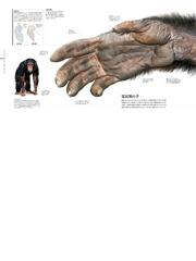 ZOOLOGY図鑑動物の世界 INSIDE THE SECRET ...