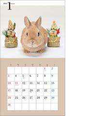 21年 ミニ判カレンダー かわいいうさぎのカレンダーの通販 井川俊彦 紙の本 Honto本の通販ストア