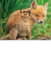 井上浩輝の書籍一覧 Honto