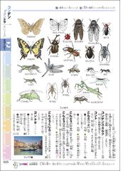 チャレンジ小学国語辞典 第２版 カラー版どうぶつデザインの通販 桑原 隆 紙の本 Honto本の通販ストア