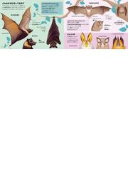 コウモリの本の通販 シャーロット ミルナー 佐野 明 紙の本 Honto本の通販ストア