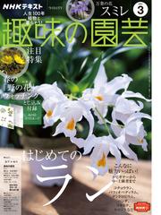 デジモノステーション 18年2月号 の電子書籍 Honto電子書籍ストア
