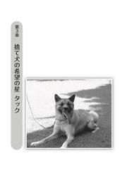 保護犬タック命の奇蹟 殺処分直前から始まった シンデレラストーリー の通販 ゆりあ 紙の本 Honto本の通販ストア