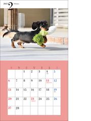22年 カレンダー かわいいミニチュア ダックスフンド 100名様に1 000円分の図書カードをプレゼント の通販 井川 俊彦 紙の本 Honto本の通販ストア