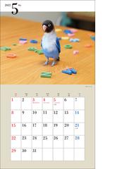 22年 カレンダー かわいい小鳥 100名様に1 000円分の図書カードをプレゼント の通販 蜂巣 文香 紙の本 Honto本の通販ストア