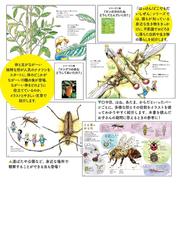 ナナフシのからだどうしてながいの １１種のながーい虫に会いにいこうの通販 北窓 優太 かんちく たかこ 紙の本 Honto本の通販ストア