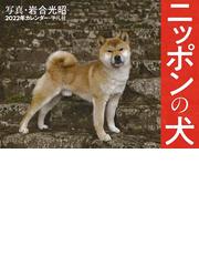 Honto 予約受付中 22年度版カレンダー 全商品ポイント5倍 紙の本