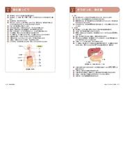 管理栄養士のためのイラスト解剖生理学の通販 開道 貴信 紙の本 Honto本の通販ストア