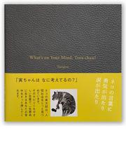 家出猫の探し方の通販/白沢 実 - 紙の本：honto本の通販ストア