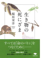 奄美群島の水生生物 山から海へ生き物たちの繫がりの通販/鹿児島大学