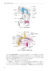 新耳鼻咽喉科学 改訂１２版の通販/切替 一郎/野村 恭也 - 紙の本 ...