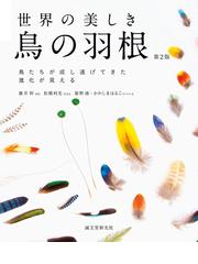 われら古細菌の末裔 微生物から見た生物の進化の通販/二井 一禎/左子