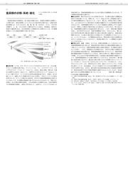 霊長類学の百科事典の通販/日本霊長類学会 - 紙の本：honto本の通販ストア