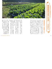 図解でよくわかる菌ちゃん農法 微生物の力だけで奇跡の野菜づくりの