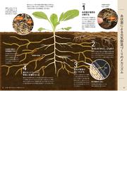 図解でよくわかる菌ちゃん農法 微生物の力だけで奇跡の野菜づくりの