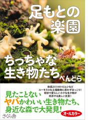 森の人四手井綱英の九十年の通販/四手井 綱英/森 まゆみ - 紙の本