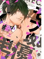 BL 漫画セット、まとめ売り 26冊 漫画