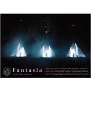 LIVE VIDEO 3 Tokai No Rakuda Special at 日本武道館 (DVD+BOOK)【DVD