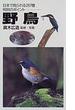 野鳥 日本で見られる２８７種判別のポイント