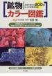 鉱物カラー図鑑 日本で採れる２００種以上の鉱物を収録 鉱物採集のテクニックから標本の作り方までをわかりやすく解説 色別の編集でスピーディーに検索できる