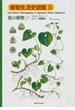 植物生活史図鑑 ３ 夏の植物 Ｎｏ．１