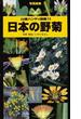 日本の野菊 写真検索