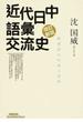近代日中語彙交流史 新漢語の生成と受容 改訂新版