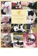 Ｃａｔ Ｐｈｏｔｏｇｒａｐｈｅｒ かわいい猫の写真が撮れる本