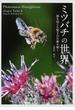 ミツバチの世界 個を超えた驚きの行動を解く