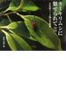カミキリムシに魅せられて 日本産１１０種の写真集 ２