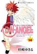 D・N・ANGEL(14)(あすかコミックス)