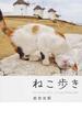 ねこ歩き