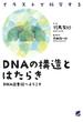 DNAの構造とはたらき : DNA図書館へようこそ イラストで科学する(BERET SCIENCE)