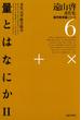遠山啓著作集・数学教育論シリーズ　6　量とはなにか　２　多次元量・微分積分