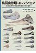 鳥羽山鯨類コレクション 東京海洋大学所蔵鯨類骨格標本の概要