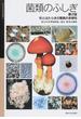 菌類のふしぎ 形とはたらきの驚異の多様性 第２版