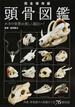 頭骨図鑑 生物の生態と進化をビジュアル解説 ホネの世界は美しく面白い！ 完全保存版
