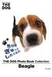 THE DOG Photo Book Collection Beagle