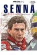 GP Car Story special edition AYRTON SENNA(サンエイムック)