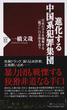 進化する中国系犯罪集団 日本のカネを強奪する「龍グレ」の正体を追う(PHP新書)