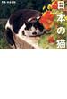 日本の猫カレンダー　２０１３