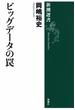 ビッグデータの罠（新潮選書）(新潮選書)